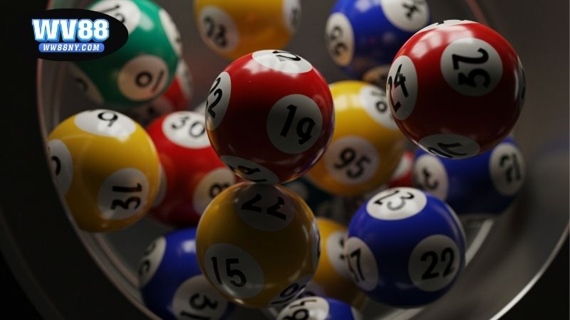 Nuôi song thủ lô khung 5 ngày – Chiến thuật bền vững hiệu quả 4 Nuôi song thủ lô khung 5 ngày – Chiến thuật bền vững hiệu quả